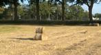 Hooibalen, Dieren en Toebehoren, Stalling en Weidegang