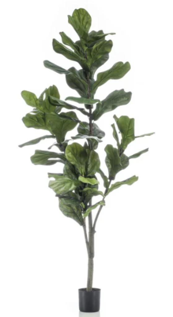 ficus lyrata 150cm, Huis en Inrichting, Woonaccessoires | Kunstplanten en Kunstbloemen, Nieuw, Ophalen of Verzenden