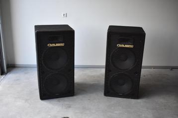 Compleet PA systeem voor band, disco of tuinfeest. beschikbaar voor biedingen