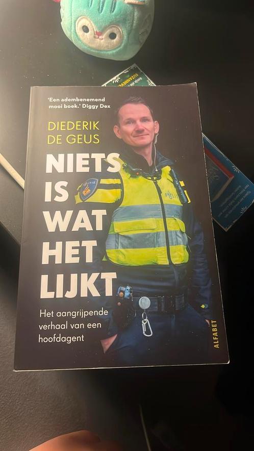 Diederik De Geus - Niets is wat het lijkt, Boeken, Overige Boeken, Zo goed als nieuw, Ophalen of Verzenden