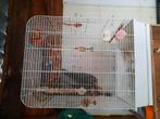 Vogelkooi, Dieren en Toebehoren, Ophalen, Gebruikt, Metaal, Vogelkooi