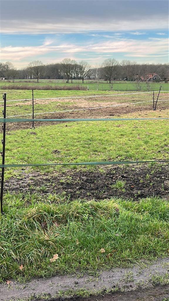 Weiand huur pacht gezocht, Dieren en Toebehoren, Stalling en Weidegang