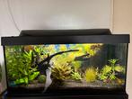 Aquarium met toebehoren, Dieren en Toebehoren, Vissen | Aquaria en Toebehoren, Ophalen, Zo goed als nieuw, Leeg aquarium