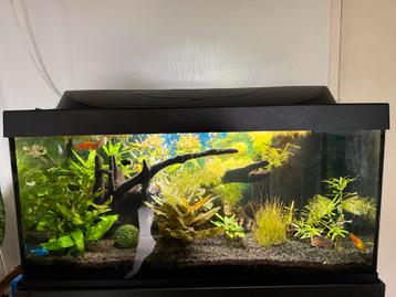 Aquarium met toebehoren beschikbaar voor biedingen