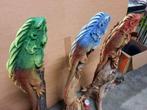 XXL Leguaan op boomstronk 1M Reptiel, Ophalen of Verzenden