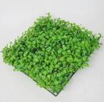 Groene Sier Gras Blad Plant Aquarium / Sier Nep Waterplant, Verzenden, Nieuw, Plant(en), Steen of Hout