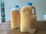 biest melk, Ophalen