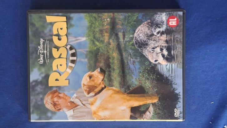 Rascal, Cd's en Dvd's, Dvd's | Kinderen en Jeugd, Zo goed als nieuw, Alle leeftijden, Ophalen of Verzenden