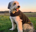 Sherpa fleece hondenjas jack pyke, Dieren en Toebehoren, Jack Pyke, Nieuw, Ophalen of Verzenden, Jack Pyke