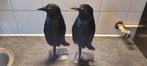 Set met 2 vogels, Antiek en Kunst, Ophalen of Verzenden