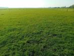 weideland te huur, Dieren en Toebehoren, Stalling en Weidegang