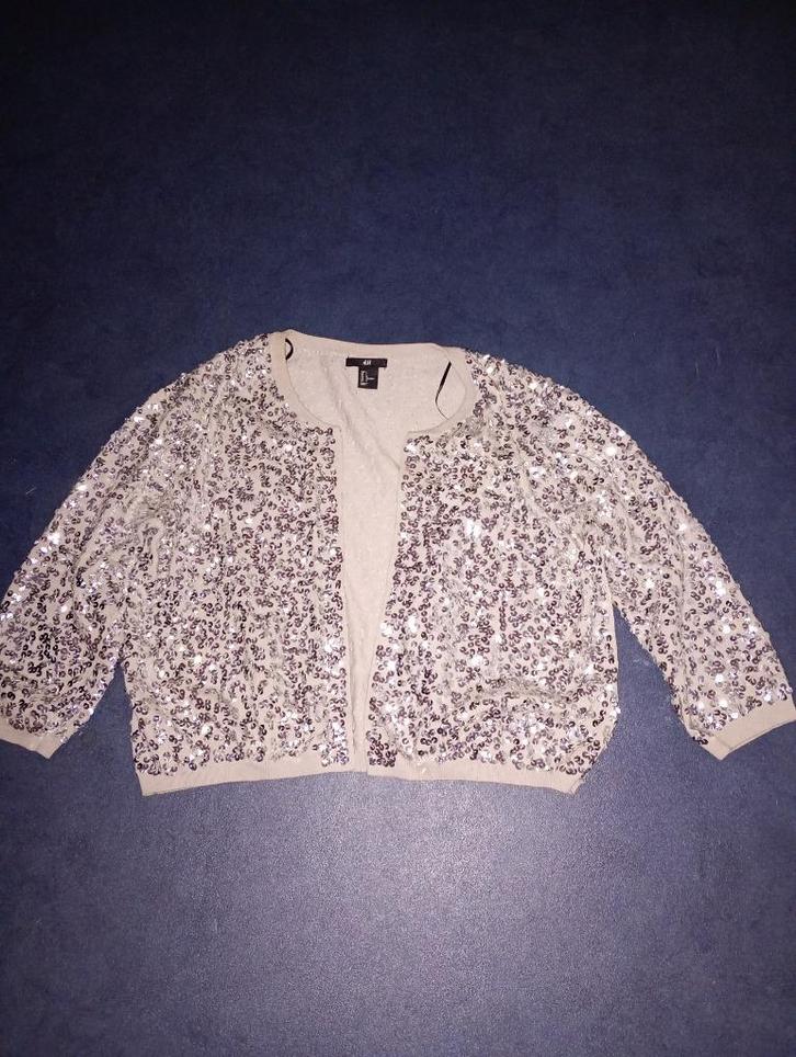 Mooi kort beige vestje mt L, Kleding | Dames, Truien en Vesten, Zo goed als nieuw, Maat 42/44 (L), Beige, Ophalen of Verzenden