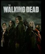 Gezocht seasin  6 t/m 11 van the walking dead op blu Ray., Ophalen of Verzenden, Zo goed als nieuw