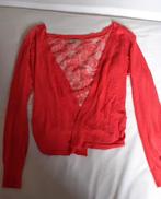 Oranje kanten vestje, maat M, Kleding | Dames, Maat 38/40 (M), Nieuw, Oranje, Ophalen of Verzenden