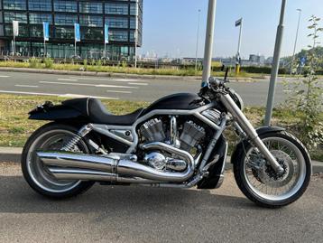 Harley Davidson Chopper VRSCA V-Rod beschikbaar voor biedingen