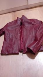 Leren jasje  zgan maat xs  bordeaux rood, Ophalen of Verzenden, Zo goed als nieuw, Maat 34 (XS) of kleiner, Rood