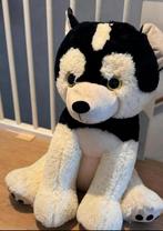 Husky hond knuffel xxl, Kinderen en Baby's, Speelgoed | Knuffels en Pluche, Ophalen of Verzenden, Zo goed als nieuw, Hond