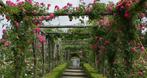 Tuinposter 180 x 340 cm (h x br.), Verzenden, Nieuw