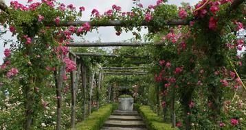 Tuinposter 180 x 340 cm (h x br.) beschikbaar voor biedingen