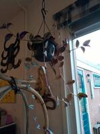 Tradescantia zebrina, Huis en Inrichting, Kamerplanten, Ophalen, Halfschaduw, Minder dan 100 cm