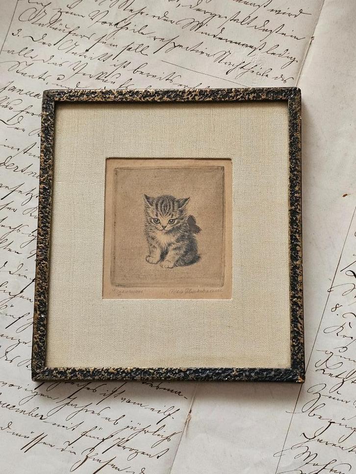 Charmant katje van META PLÜCKEBAUM 'Regenwetter' / ets, Antiek en Kunst, Kunst | Etsen en Gravures, Ophalen of Verzenden