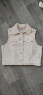Teddy gilet Drykorn maat 40 crème, Maat 38/40 (M), Drykorn, Beige, Ophalen of Verzenden