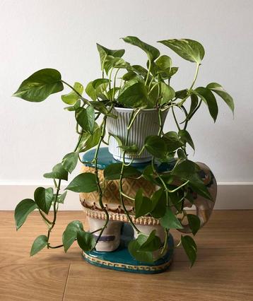 Keramieken olifant plantenstandaard bijzettafel Boho beschikbaar voor biedingen