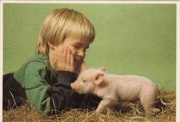 5 Ansichtkaarten Voor het Kind - Wijndel Jongens beschikbaar voor biedingen