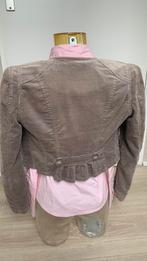 Bolero velours jasje XS van stels NIEUW, Kleding | Dames, Jasjes, Kostuums en Pakken, Nieuw, Ophalen of Verzenden, Steps, Jasje