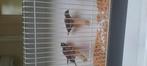 Japanse meeuwtjes, Dieren en Toebehoren, Meerdere dieren
