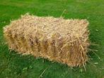 Stro kleine balen 20kg tarwestro, Dieren en Toebehoren, Ophalen, Vee