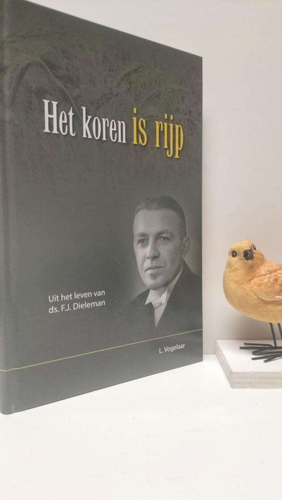 Vogelaar, L.; Het koren is rijp (Ds. F.J. Dieleman), Boeken, Godsdienst en Theologie, Gelezen, Christendom | Protestants, Ophalen of Verzenden