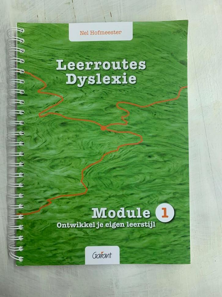 SEPT LEERROUTES DYSLEXIE MODULE 1, Boeken, Wetenschap, Zo goed als nieuw, Sociale wetenschap, Ophalen of Verzenden