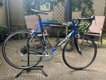 Top Ridley Gladius, full carbon en Campa !! beschikbaar voor biedingen