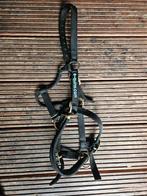 Halster e-quine trainings Halster full, Ophalen of Verzenden, Overige soorten