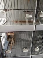 Broedkooi voor volière vogels, Ophalen of Verzenden, Broedkooi of Kweekkooi