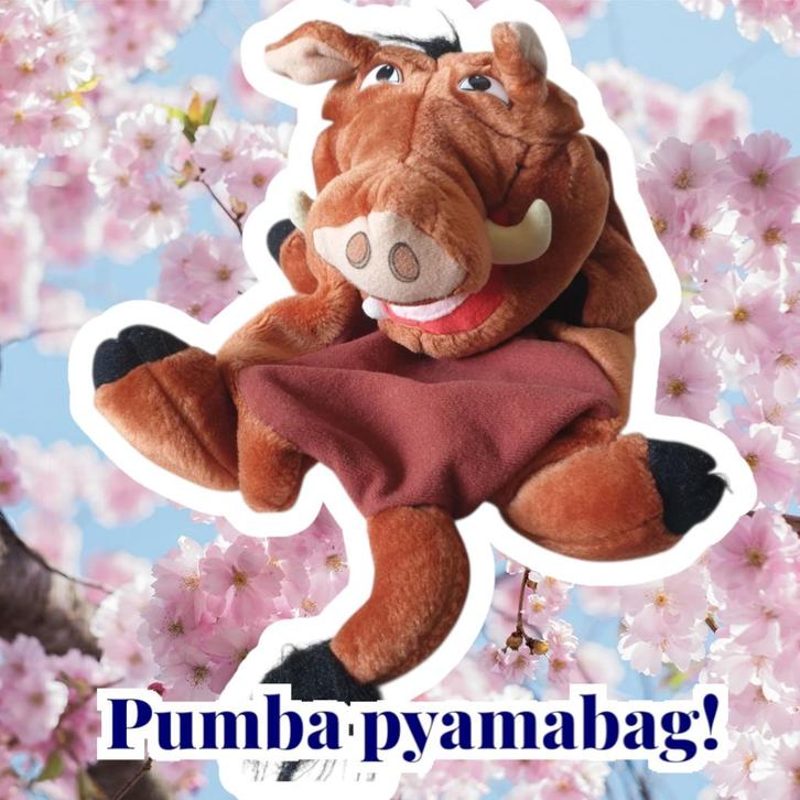 Pumba The Lion King pyama zak / kruikzak / knuffel, Kinderen en Baby's, Speelgoed | Knuffels en Pluche, Gebruikt, Overige typen