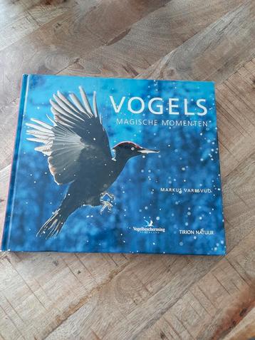 Vogels - Magische Momenten door Markus Varesvuo beschikbaar voor biedingen