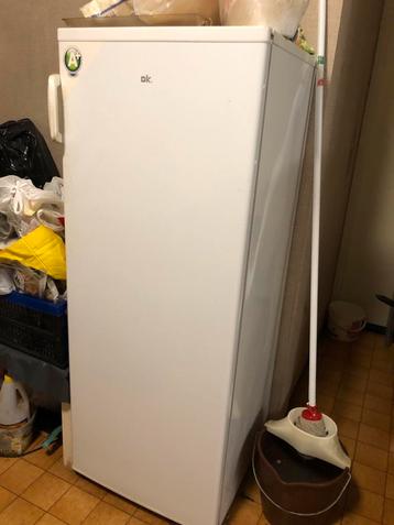 OK. Vriezer - Perfect voor extra opslag! beschikbaar voor biedingen