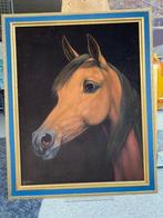 Schilderij - paard op fluweel van Adema, Antiek en Kunst, Kunst | Schilderijen | Klassiek, Ophalen