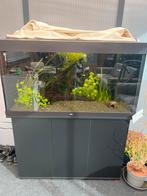 Te koop juwel 350, Dieren en Toebehoren, Vissen | Aquaria en Toebehoren, Ophalen of Verzenden, Zo goed als nieuw, Leeg aquarium