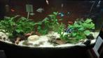 Aquarium yuwel, Dieren en Toebehoren, Vissen | Aquaria en Toebehoren, Ophalen, Zo goed als nieuw, Verlichting of Verwarming