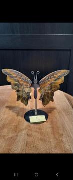 Tijgeroog vlinder, Ophalen of Verzenden