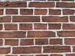 15.000 stuks Friese rode steen circa 20x4.5x10cm, Doe-het-zelf en Verbouw, Metselstenen, Ophalen, Bakstenen, Info@walstra.nl, Walstra