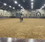 Verzorg paard/pony gezocht, Dieren en Toebehoren, Ophalen of Verzenden, Nieuw