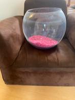 Aquarium, Ophalen of Verzenden, Zo goed als nieuw