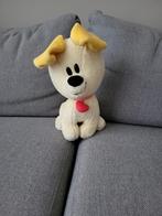 Schattige Pip Knuffel, Ophalen of Verzenden, Zo goed als nieuw, Hond