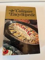 Boek culinaire encyclopedie, Boeken, Kookboeken, Ophalen, Gelezen