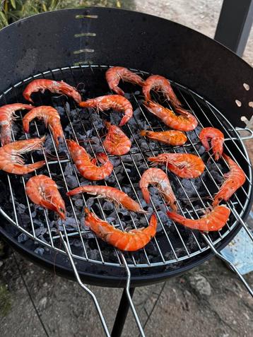 Handige en ruime barbecue, ideaal voor kamperen of op reis! beschikbaar voor biedingen