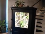 Paludarium, Dieren en Toebehoren